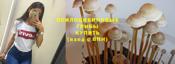 а пвп мука Алзамай
