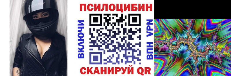 наркотики  Камешково  Галлюциногенные грибы прущие грибы 